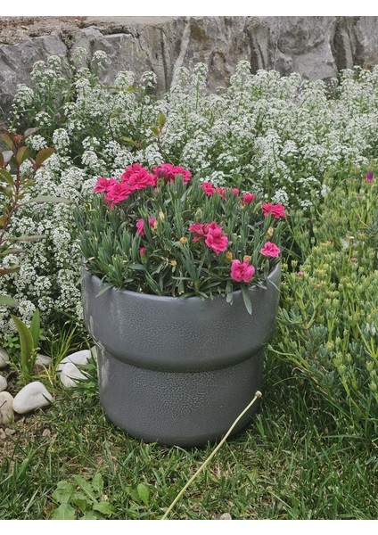 Altı Delikli Dev Boy Antrasit Seramik Saksı indirimleri