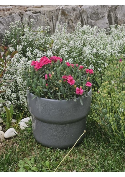 Altı Delikli Dev Boy Antrasit Seramik Saksı
