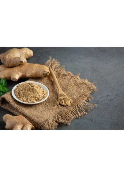 Zencefil Fatma Hanım Bahartları fiyatları