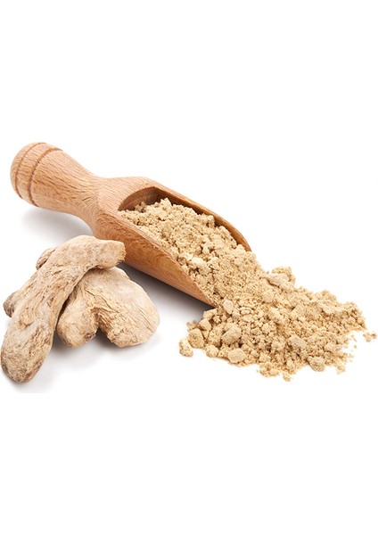 Zencefil Fatma Hanım Bahartları