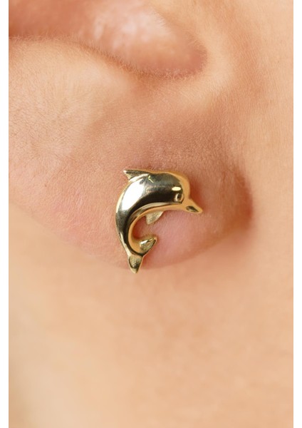 14 Ayar Altın Yunus Küpe