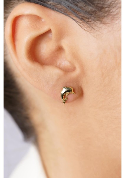 14 Ayar Altın Yunus Küpe fiyatları