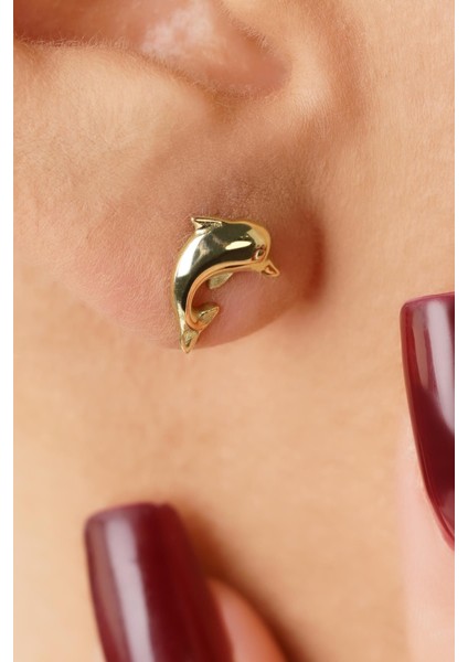 14 Ayar Altın Yunus Küpe modelleri