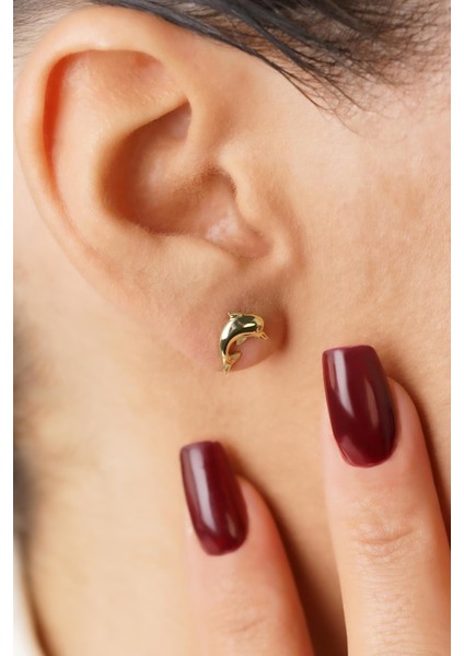 14 Ayar Altın Yunus Küpe fırsatları