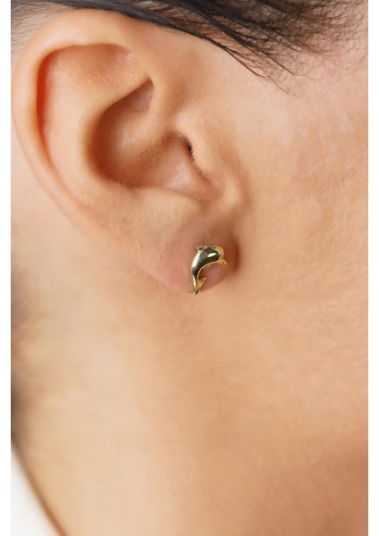 14 Ayar Altın Yunus Küpe indirimleri