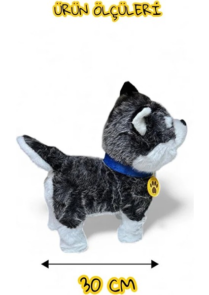Uzaktan Kumandalı Sesli Müzikli Havlayan Yürüyen Ses Tekrar Etme Özellikli 30 cm Peluş Köpek modelleri