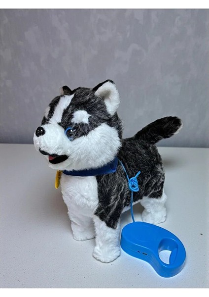 Uzaktan Kumandalı Sesli Müzikli Havlayan Yürüyen Ses Tekrar Etme Özellikli 30 cm Peluş Köpek fırsatları