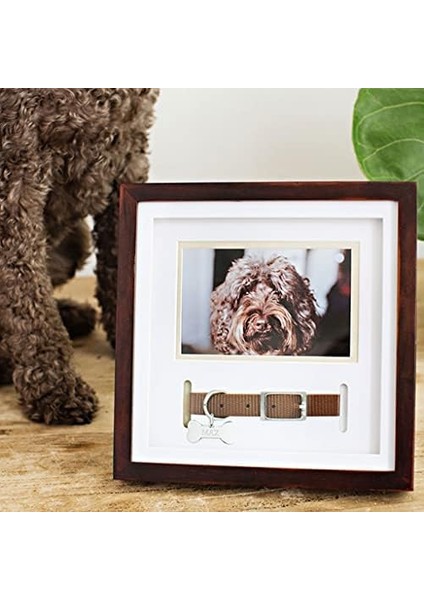 Pet Yaka Hatıra Çerçevesi, Evcil Hayvan Anıtı Resim Çerçevesi, Evcil Hayvan Sahibi Ev Dekoru, Kedi Veya Köpek Hatırası, 3 "x 4.5" Fotoğraf Ekleme, Duvara Montaj ve Masa Üstü Çerçeve, Espresso fiyatları