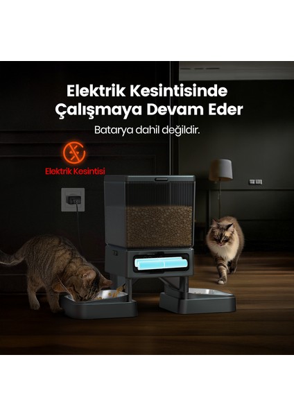 CleanSteel Premium Hijyen Seti – Paslanmaz Çelik Kedi Tuvaleti + Zaman Ayarlı Otomatik İkili Mama Kabı + 2L Su Pınarı fırsatları