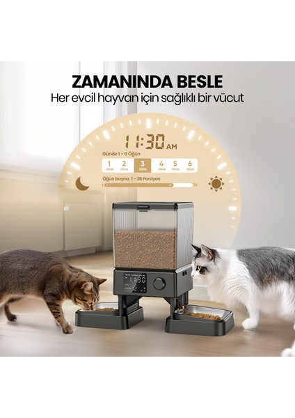 CleanSteel Premium Hijyen Seti – Paslanmaz Çelik Kedi Tuvaleti + Zaman Ayarlı Otomatik İkili Mama Kabı + 2L Su Pınarı indirimleri