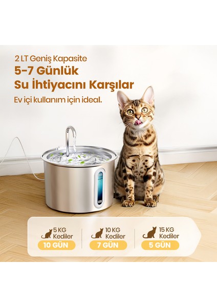 CleanSteel Premium Hijyen Seti – Paslanmaz Çelik Kedi Tuvaleti + Zaman Ayarlı Otomatik İkili Mama Kabı + 2L Su Pınarı