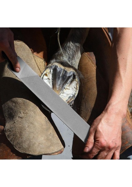 2 Adet 14 Inç Horseshoe Düzenleme Halat Dosyaları Karbon Çelik Çatal Araçları Tutlu Tutlu Ahşap Iş Malzemeleri (Yurt Dışından) fiyatları