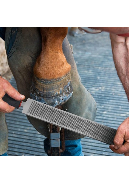 2 Adet 14 Inç Horseshoe Düzenleme Halat Dosyaları Karbon Çelik Çatal Araçları Tutlu Tutlu Ahşap Iş Malzemeleri (Yurt Dışından) indirimleri