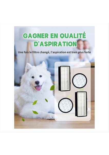 Rowenta Sessizlik Kuvvetleri Filtreleri Siklonik RO76XX Hepa Filtre Yedek Parça Vakum Süpürge Aksesuar ZR903701 (Yurt Dışından) fırsatları