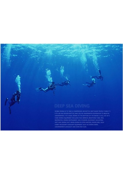 Dalgıç Solunum Regülatörü Iki Aşamalı Kafa Regülatör Basıncı Indirgeyici Valf Regülatörleri Solunucu Dalış Malzemeleri (Yurt Dışından) indirimleri