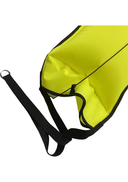 Dalış Yüzdürme Asansör Kemeri Görünürlük 140LBS Overpressure Valf Tüplü Tüplü Şnorkel Için Kurtarma Asansör Torbası (Yurt Dışından) fırsatları