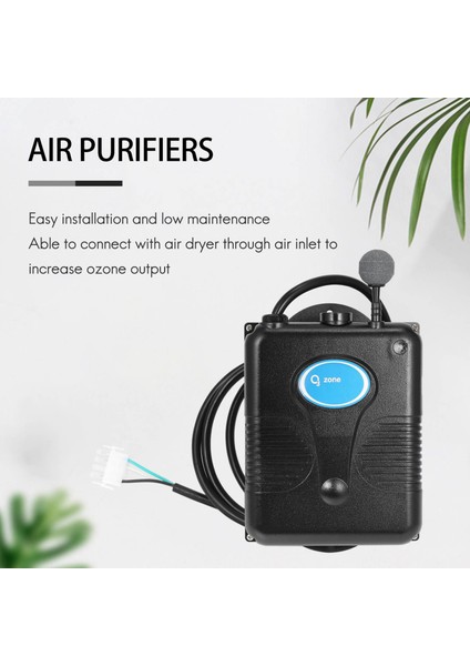 220V 300MG/S Ozon Jeneratör Küvet Duş Spa Yüzme Havuzu Ozonizer Küvet Havuz Su Arıtıcısı Yedek Cihaz Kiti Valf Hortumu (Yurt Dışından) indirimleri