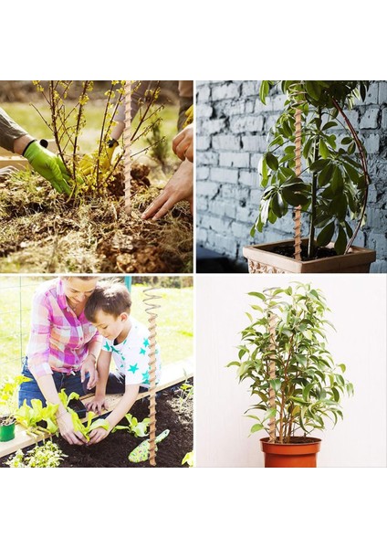 Elektro Kültür Bakır Bitki Bahçeleri Bakır Bahçe Bahçesi Bahçe Anten Bakır Çubuklar Bakır Tel 43CM (Yurt Dışından) indirimleri