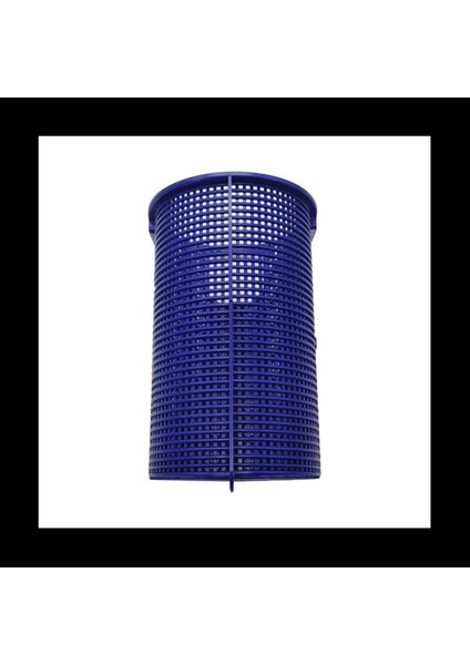 2x Yüzme Havuzu Sepet Süzgeç Sepet Sepetleri Havuz Filtre Sepeti Yedek Tank Skimmers Havuz Aksesuarları (Yurt Dışından) modelleri