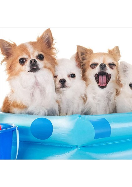 Yüzme Havuzları Için Kendi Yapışkanlı Onarım Yamaları Havuz Onarım Kiti Kendi Yapışkanlı Sualtı Onarım Havuzu Yamaları 20PCS (Yurt Dışından) indirimleri