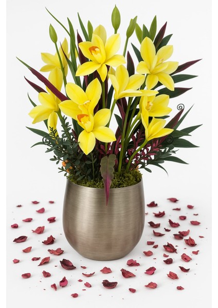 Golden Orchid Premium – Sarı Orkide Metal Saksı Aranjmanı