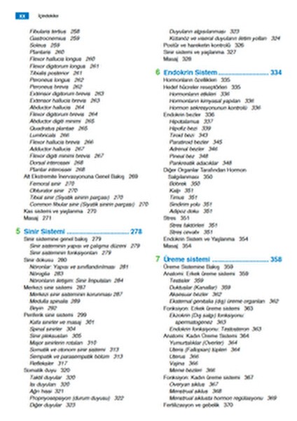 Anatomi ve Fizyoloji Kolektif Yazar Üçüncü Baskı Eğitim Düzeyi Normal Boy