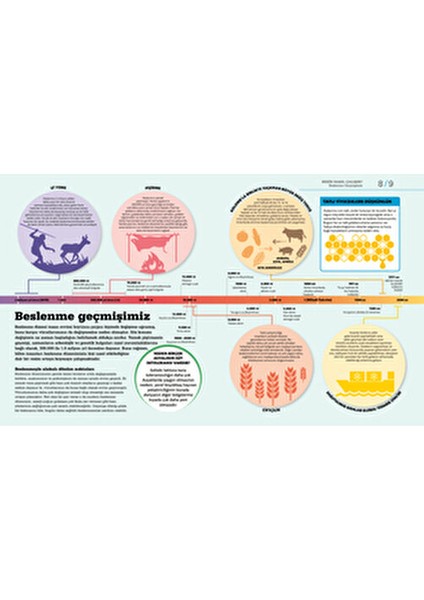 Besin Nasıl Çalışır Ciltli Kitabı Dorling Kindersley Tarafından Yayınlandı fırsatları