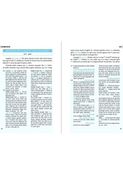 Arapçanın Dehlizleri Kolektif Yazar 504 Sayfa Ciltsiz Türkçe Yayın 2021 Eğitim Düzeyi fiyatları