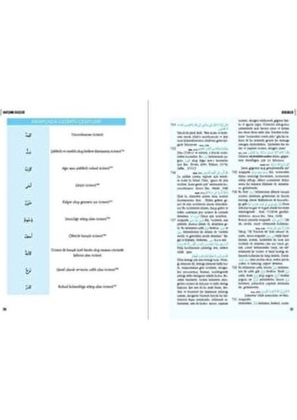 Arapçanın Dehlizleri Kolektif Yazar 504 Sayfa Ciltsiz Türkçe Yayın 2021 Eğitim Düzeyi modelleri