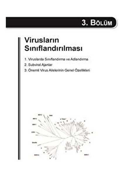 Viroloji - Kadir Yeşilbağ Türkçe Ciltli 336 Sayfa Eğitim İçin Önemli Kaynak