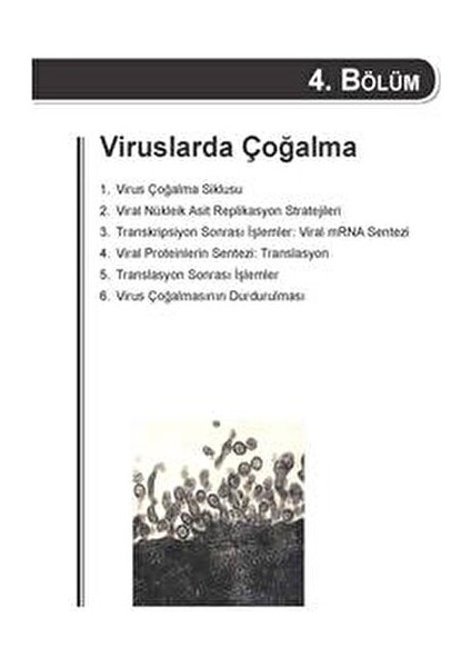 Viroloji - Kadir Yeşilbağ Türkçe Ciltli 336 Sayfa Eğitim İçin Önemli Kaynak