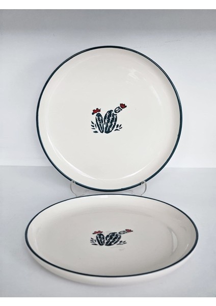 2 Li Kaktüs 21CM Tabak