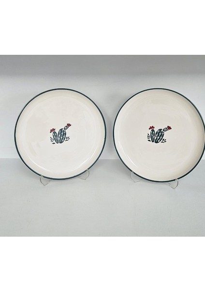 2 Li Kaktüs 21CM Tabak