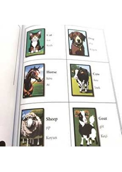 Kelimeler Kitabı Barış Denizhan 584 Sayfa Mesleki Hazırlık İçin Renkli Resimli indirimleri