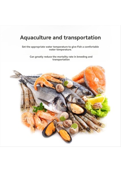 Dijital Sıcaklık Test Cihazı Sıcaklık Izleme Test Cihazı Sıcaklık Monitörü Doğruluk Abd Fişi B (Yurt Dışından) fırsatları