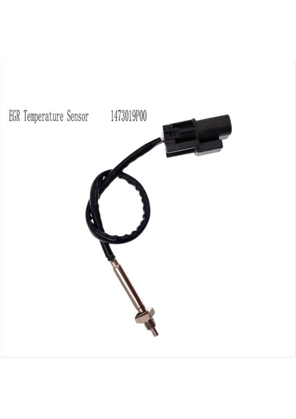 Nissan Infiniti Mercury 240SX 300ZX Altima D21 Frontier Maxima Pickup Pathfinder Için Egr Sıcaklık Sensörü (Yurt Dışından) fırsatları