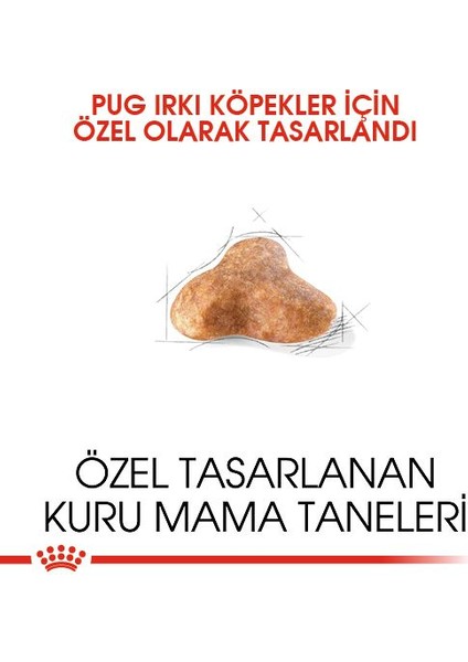 Pug Yetişkin Kuru Köpek Maması 1.5kg