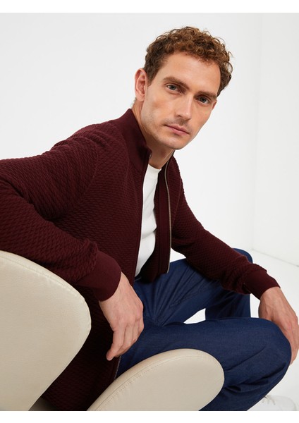 Yeni Sezon Standart Kalıp Dik Yaka Erkek Triko Hırka