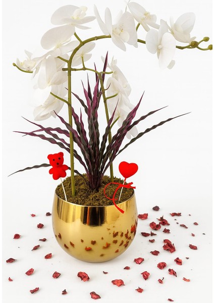 Golden Love Orchidea – Altın Saksıda Özel Orkide Tasarımı