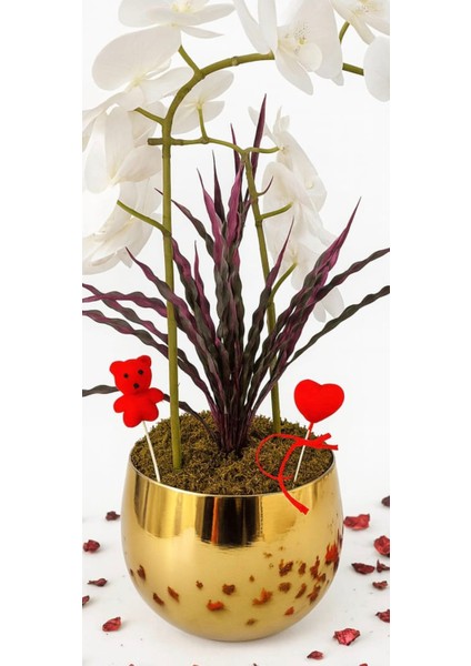 Golden Love Orchidea – Altın Saksıda Özel Orkide Tasarımı fiyatları