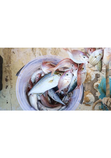 Misina 300M Polietilen Microfiber 2.0 Ip Misina Yeşil fiyatları