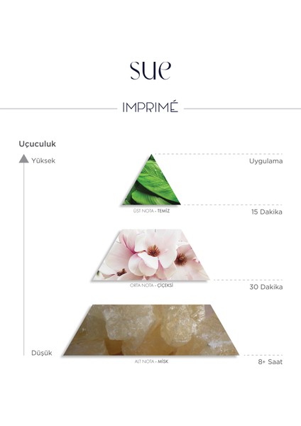 Sue Edp Kadın Parfüm 50ML | Çiçeksi & Pudralı | Şakayık, Limon, Gül, Müge, Manolya, Misk fırsatları