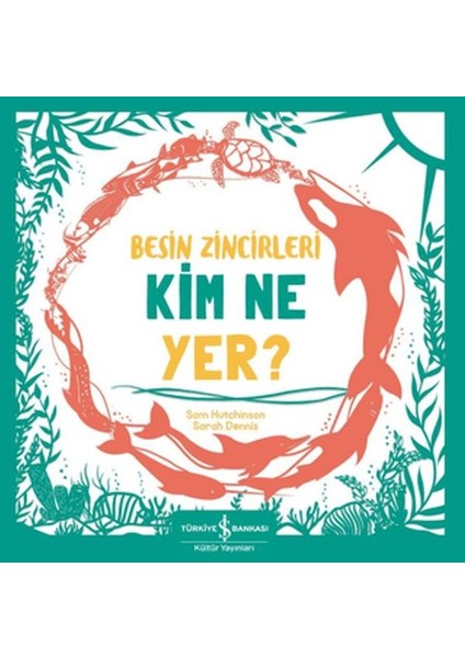 Besin Zincirleri Kim Ne Yer?