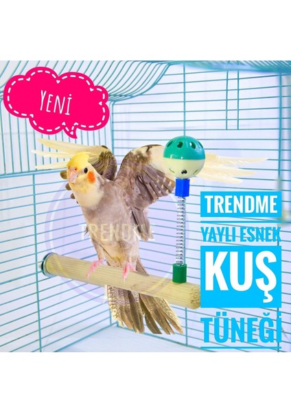 Trendme Yaylı Esnek Kuş Tünek Top Zil ( Sultan Cenet Vb )