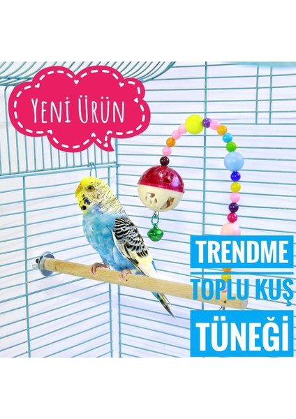 Trendme Zilli Boncuklu Toplu Kuş Tüneği Oyuncak Muhabbet , Finch Vb