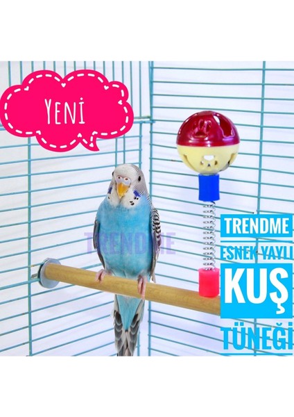 Trendme Yaylı Esnek Kuş Tünek Top Zil ( Muhabbet Finc Vb )