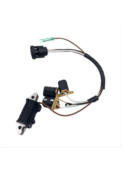 Yamaha Dıştan Takma Motor Için Iki Zamanlı 60 Hp Dıştan Takma Motor Aksesuar Şarj Bobini 6H3-85520-00 (Yurt Dışından) modelleri