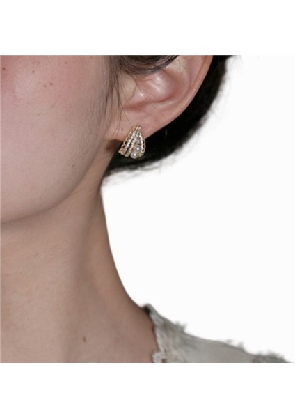 Inci ve Zirkonyum Dantel Küpeler, Fransız Tarzı Küpeler, Vintage Kadın Küpeleri (Yurt Dışından) fiyatları