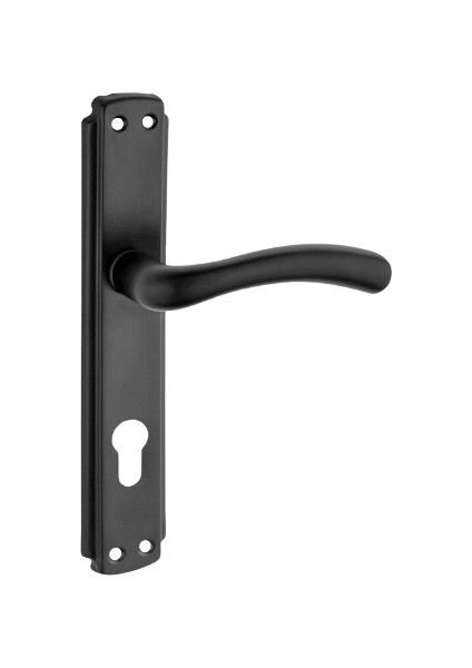 Kuğu Kol Aynalı Siyah Yale Kapı Kolu