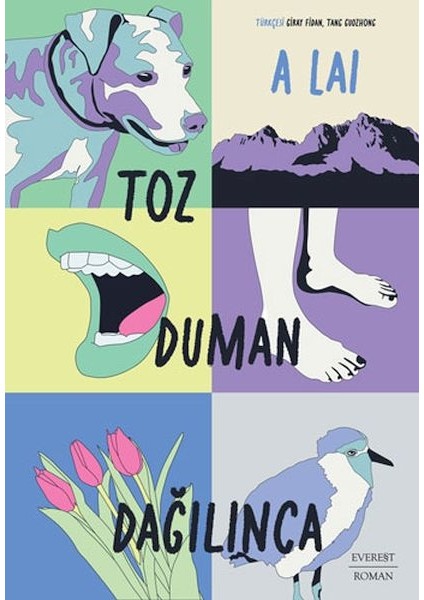 Toz Duman Dağılınca